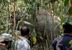 নুমলীগড়ৰ বকিয়াল চাহ বাগিচাত বন্যহস্তীৰ মৃত্যু :