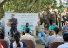 কাজিৰঙাত বন্যপ্ৰাণী সপ্তাহৰ উদ্বোধনী অনুষ্ঠান  : হস্তী দিৱস পালন :  মানাহলৈ বাঘ ৰথৰ যাত্ৰা  :