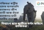 বোকাখাতৰ উজনি অসম বিকলাংগ কেন্দ্ৰৰ দিব্যাংগ ছাত্ৰ ছাত্ৰীৰ দ্বাৰা অগৰাতলি বনাঞ্চলত জীপ চাফাৰীৰ শুভাৰম্ভ  :