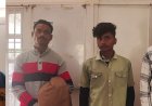 বোকাখাতৰ কৈলাখাতৰ পহু হত্যাৰ ঘটনাত জড়িত তিনি জনৰ আত্মসমৰ্পণ  :