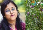 জুবিন গাৰ্গৰ নামেৰে অসমত পোৱা নতুন উদ্ভিদৰ নামকৰণ গুৱাহাটী বিশ্ববিদ্যালয়ৰ গৱেষিকা বৰ্ণালী দাসৰ :
