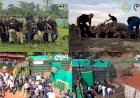 Four Asiatic Wild Buffaloes from Kaziranga National Park reached Kanha Tiger Reserve of Madhya Pradesh for rehabilitation :