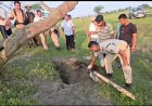 Three Rhino Poachers Arrested in Kaziranga National Park & Tiger Reserve’s Biswanath Wildlife Division: Handmade Gun Seized.