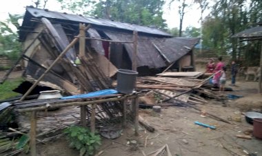 ঢেকিয়াজুলিত বন্যহস্তীৰ তাণ্ডৱ