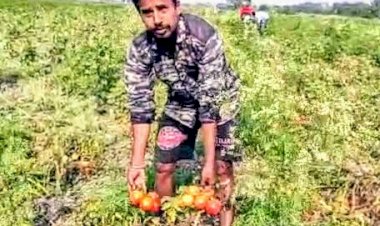 বােকাখাতত অত্যাৱশ্যকীয় সামগ্ৰীৰ চৰাদাম : ৰেচন কাৰ্ডৰ চাউলকলৈ এজেন্টৰ হৰলুকি : নিয়ন্ত্ৰনত ব্যৰ্থ যোগান বিভাগ :