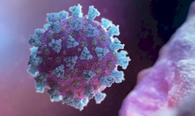 বিশ্বত কমিব ধৰিছে কৰোণাৰ প্রাণহানিৰ সংখ্যা