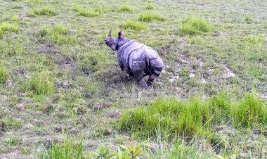 উচ্চ ন্যায়লয়ৰ নিৰ্দেশত বেদখল মুক্ত হোৱা কলিয়াবৰ মহকুমাৰ বান্দৰডুবি অঞ্চল কাজিৰঙা ৰাষ্ট্ৰীয় উদ্যানৰ হাতত অৰ্পণ  :