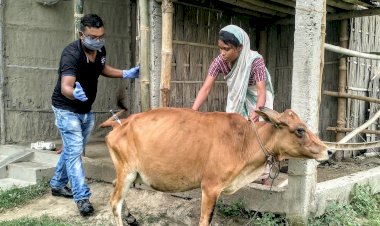 কাজিৰঙাৰ ৰাষ্ট্ৰীয় উদ্যান কৰ্তৃপক্ষৰ উদ্যোগত কাষৰীয় গাঁৱৰ ১০ হেজাৰ পশুধনক প্ৰতিষেধক প্ৰদান : দুটা ৰেঞ্জত এতিয়াও চলি আছে প্ৰতিষেধক প্ৰদানৰ অভিযান :