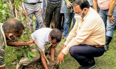 কাজিৰঙা ৰাষ্ট্ৰীয় উদ্যানত বিশ্ব পৰিৱেশ দিৱস : মন্ত্ৰী কেশৱ মহন্তৰ বৃক্ষ ৰোপণ : ছাত্ৰ ছাত্ৰীৰ মাজত গছ পুলি বিতৰণ :