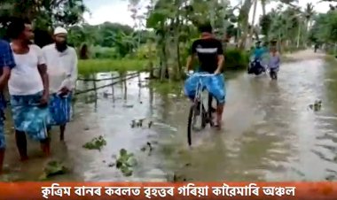 কৃত্ৰিম বানৰ কবলত বৃহত্তৰ গৰিয়া কাৱৈমাৰি অঞ্চল