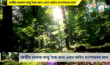 কেন্দ্ৰীয় চৰকাৰ সাজু হৈছে আনি এখন আইন সংশোধনৰ বাবে