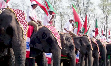 কাজিৰঙা ৰাষ্ট্ৰীয় উদ্যানত বিশ্ব হস্তী দিৱস উদযাপন : সদ্যজাত বিভাগীয় হাতী পোৱালীৰ নামকৰণ :
