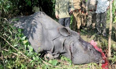 গঁড় হত্যা নহয় এতিয়া কভিড ১৯ ৰ সংক্ৰমণৰ বাবে বোকাখাত আৰক্ষী মুকামোৰনি হৈছে মনিপুৰৰ চোৰাং চিকাৰী  চিনজাচন ভাল্টে :