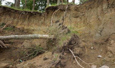 গৰাখহনীয়াক ৰাষ্ট্ৰীয় সমস্যা হিচাপে চিহ্নিত কৰকঃ দাবী  এবিএমছুৰ