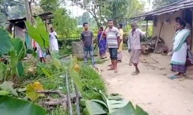 গোলাঘাটৰ বকিয়াল মহল তিনিআলিত বনৰীয়া হাতীৰ গছকত প্ৰাণ গ’ল পিতা পুত্ৰৰ  :