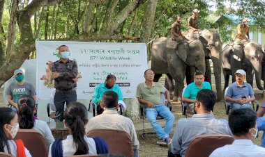 কাজিৰঙাত বন্যপ্ৰাণী সপ্তাহৰ উদ্বোধনী অনুষ্ঠান  : হস্তী দিৱস পালন :  মানাহলৈ বাঘ ৰথৰ যাত্ৰা  :