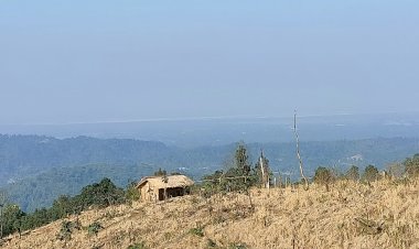 কাৰ্বিআংলং জিলাৰ তৰাপুংবাসীৰ মহান অৱদান  :  বিশ্ব ঐতিহ্য ক্ষেত্ৰ কাজিৰঙা ৰাষ্ট্ৰীয় উদ্যানৰ বন্যপ্ৰাণীৰ বিচৰণৰ বাবে স্ব ইচ্ছাৰে ত্যাগ নিজৰ বাসস্থান  :