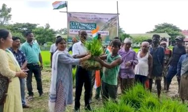 বোকাখাতৰ কৃষকৰ মাজত মহকুমা কৃষি বিভাগৰ দ্বাৰা প্ৰস্তুত কৰা শালিধানৰ কঠিয়াৰ বিতৰণ  :