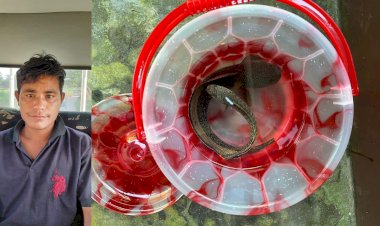 কাজিৰঙা ৰাষ্ট্ৰীয় উদ্যানৰ পৰা অতি সংগোপনে চলি আছে ফুটুকী চেং বা চান্না বাৰ্কা মাছৰ গোপন বেহা :  ১০ টা ফুটুকী চেং মাছ সহ তিনি চোৰাং ব্যৱসায়ীক আটক  :