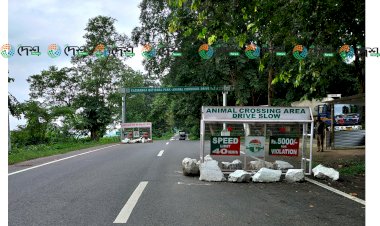 গোলাঘাট জিলাৰ কাজিৰঙা ৰাষ্ট্ৰীয় উদ্যান এলেকাৰ ৩৭ নং ৰাষ্ট্ৰীয় পথাংশত জিলা প্ৰশাসনৰ ১৪৪ ধাৰা জাৰি : এই পথাংশৰ দাঁতিত গধুৰ যানবাহন ৰখোৱাত নিষেধাজ্ঞা আৰোপ  :