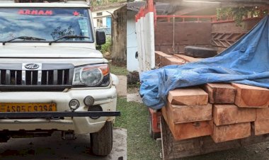 বোকাখাতত চোৰাং কাঠ সহ এখন ডি আই গাড়ী আৰু দুজনক আটক  :