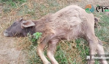 ধৰ্ণা  দিয়াৰ নামত মহিলা বনকৰ্মীক আশালীন মন্তব্য প্ৰতিবাদকাৰীৰ : বোকাখাতত প্ৰতিক্ৰিয়া  : ক্ষোভিত আৰক্ষী আৰু বনকৰ্মী  :