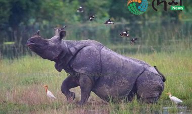 ৰাষ্ট্ৰীয় উদ্যান হিচাবে পঞ্চাশ বৰ্ষ গৰকা কাজিৰঙালৈ এইদেশৰ শুভেচ্ছা  :