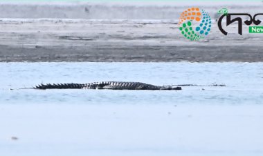 কাজিৰঙাৰ জৈৱতন্ত্ৰৰ নতুন সংযোজন ভাৰতীয় ঘৰিয়াল  : ৰাষ্ট্ৰীয় উদ্যানখনৰ ব্ৰহ্মপুত্ৰত তৃতীয়বাৰৰ বাবে দেখা পোৱা গৈছে ঘৰিয়াল  :