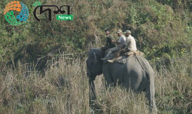 কাজিৰঙা ৰাষ্ট্ৰীয় উদ্যানত সপ্তাহ জোৰা হাতী গণনাৰ সমাপ্তি  : কাইলৈ নমুনা সংগ্ৰহ কৰিব নিৰ্বাচিত খণ্ডত  :