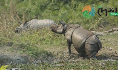 ৮ মাৰ্চত কাজিৰঙালৈ আহিব প্ৰধানমন্ত্ৰী নৰেন্দ্ৰ মোডী  : নিশা কাজিৰঙাতে থাকি ৯ মাৰ্চত কাজিৰঙা দৰ্শন কৰিব প্ৰধানমন্ত্ৰীয়ে  :