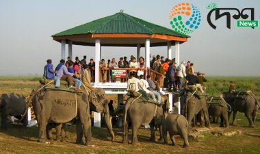 বিশ্বৰ পৰ্যটকৰ বাবে ১ মে’ পৰা হাতী আৰু ১৬ মে'ৰ পৰা জীপ চাফাৰী বন্ধ হ'ব কাজিৰঙা ৰাষ্ট্ৰীয় উদ্যানত :