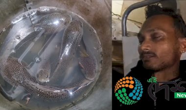 কাজিৰঙাত পিপলি চেং মাছৰ চোৰাংচিকাৰী  : চিকাৰীৰে হোৱা সংঘৰ্ষত আহত বিভাগীয় হাতী মাউত জিতু গনক আৰু এটা চেংমাছৰ চোৰাং ব্যৱসায়ী : ধৃত লোকজনৰ পৰা উদ্ধাৰ একাধিক পিপলি চেংমাছ :