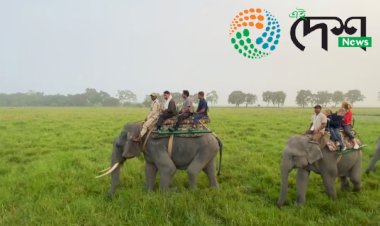 চলিত পৰ্যটন বৰ্ষৰ বাবে আজি বিশ্ব ঐতিহ্য ক্ষেত্ৰ কাজিৰঙাত  মুকলি হ’ল হাতী চাফাৰী ⵓ অগৰাতলি বনাঞ্চলৰ জীপ চাফাৰী ⵓ