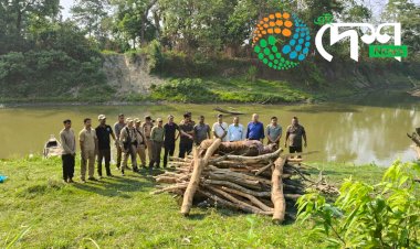 কাজিৰঙা ৰাষ্ট্ৰীয় উদ্যানৰ কঁহৰা বনাঞ্চলত ঢেকীয়াপতীয়া বাঘৰ মৃতদেহ উদ্ধাৰ  :
