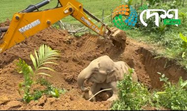 কাজিৰঙা ৰাষ্ট্ৰীয় উদ্যানত পাঁচ ঘন্টীয়া শ্বাসৰূদ্ধ অভিযানৰ শেষত অব্যৱহৃত এটা কেঁচা কুঁৱাত  আৱদ্ধ বনৰীয়া হাতীক উদ্ধাৰ  :