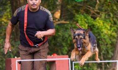 কাজিৰঙা ৰাষ্ট্ৰীয় উদ্যানত বন্যপ্ৰাণী অপৰাধ আৰু চোৰাংচিকাৰ ৰোধত নিয়োজিত স্নীফাৰ কুকুৰ আৰু পৰিচালকৰ বিশেষ কৰ্মশালা :