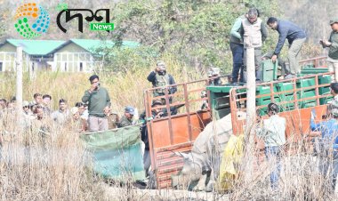 বোকাখাতৰ বৰজুৰিত থকা বন্যপ্ৰাণী পুনৰ সংস্থাপন আৰু সংৰক্ষণ কেন্দ্ৰত প্ৰতিপালিত দুটা গঁড় পোৱালীক আজি কাজিৰঙাত পুনৰ সংস্থাপন :