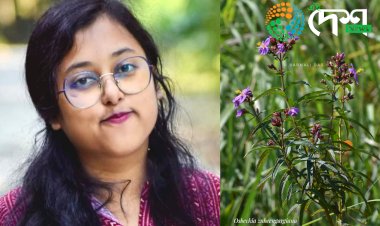 জুবিন গাৰ্গৰ নামেৰে অসমত পোৱা নতুন উদ্ভিদৰ নামকৰণ গুৱাহাটী বিশ্ববিদ্যালয়ৰ গৱেষিকা বৰ্ণালী দাসৰ :