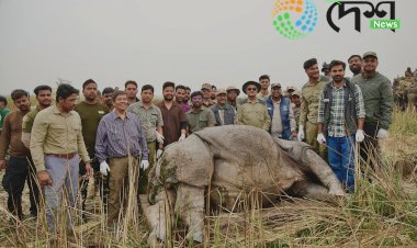 সংৰক্ষণৰ বিশেষ পদক্ষেপ : দুধৱা ব্যাঘ্ৰ সংৰক্ষিত বনাঞ্চলত চাৰিটা গঁড়ক বনাঞ্চলত মুকলি :