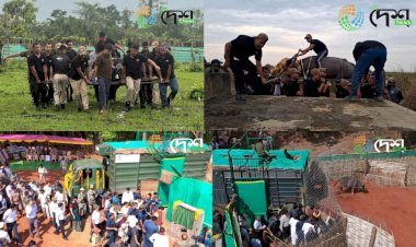 Four Asiatic Wild Buffaloes from Kaziranga National Park reached Kanha Tiger Reserve of Madhya Pradesh for rehabilitation :