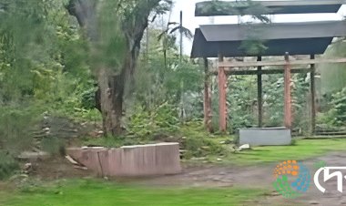 बोकाखात का 'शांति घाट' में अशांति—अंतिम यात्रा बनी नर्क की राह, कचरों के ढेर से काजीरंगा पर भी खतरा :