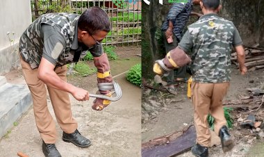 Mohammed Nurjamal a Snake Rescuer of Kaziranga :