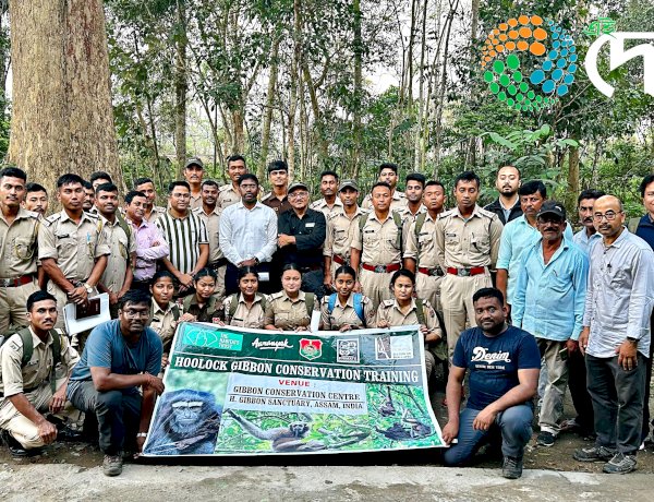 হোলোঙাপাৰ গিবন অভয়াৰণ্যত বন বিভাগ আৰু আৰণ্যকৰ উদ্যোগত গিবন সংৰক্ষণৰ সপ্তাহজোৰা বিশেষ  প্ৰশিক্ষণ কাৰ্যসুচী :
