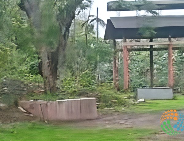 बोकाखात का 'शांति घाट' में अशांति—अंतिम यात्रा बनी नर्क की राह, कचरों के ढेर से काजीरंगा पर भी खतरा :