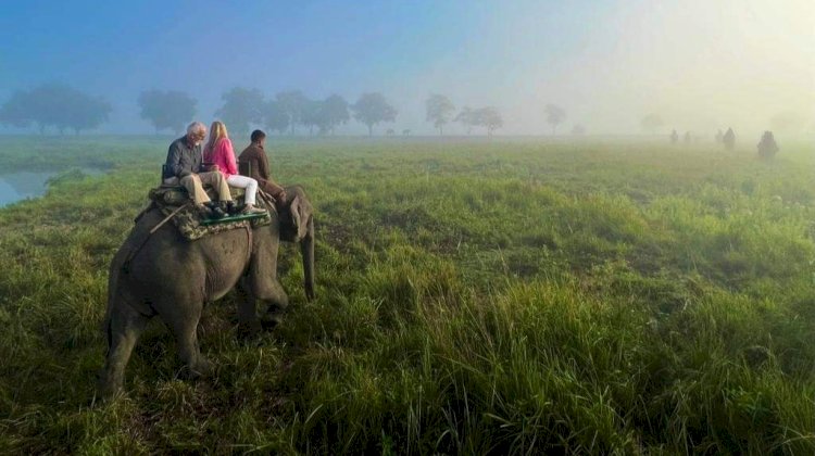 Strike called off within a day  :  Private Elephant Safari resumed from 25th Dec 2023 in Bagori range of Kaziranga National Park  :