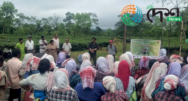 বিস্তৃত কাৰ্যসুচীৰে কাজিৰঙা ৰাষ্ট্ৰীয় উদ্যানত আন্ত:ৰাষ্ট্ৰীয় ব্যঘ্ৰ দিৱস উদযাপন :  দিল্লীত কাজিৰঙাৰ চাৰি গৰাকী বনকৰ্মী সাহসিকতাৰ বঁটা  :