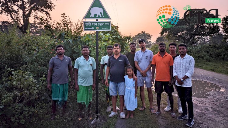 হাতী মানুহৰ সংঘাত প্ৰধান নামনিৰ তিনি জিলাত আৰণ্যকৰ উদ্যোগত চিহ্ন আৰু সংকেত ফলক স্থাপন :