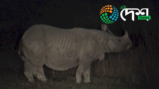 কাজিৰঙাৰ এনিমেল কৰিডৰত মটৰচাইকেলেৰে গঁড় পোৱালীক খুন্দিয়াই আহত দুজন : সম্প্ৰতি বনবিভাগৰ জিম্মাত দুই মটৰচাইকেল আৰোহী : মটৰচাইকেলো জব্দ :