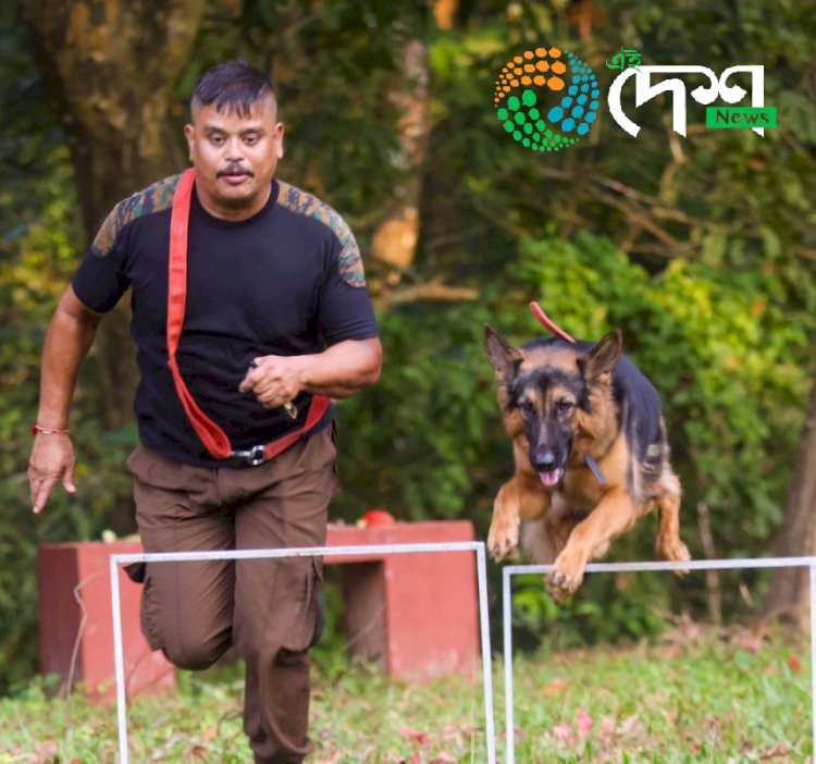 কাজিৰঙা ৰাষ্ট্ৰীয় উদ্যানত বন্যপ্ৰাণী অপৰাধ আৰু চোৰাংচিকাৰ ৰোধত নিয়োজিত স্নীফাৰ কুকুৰ আৰু পৰিচালকৰ বিশেষ কৰ্মশালা :