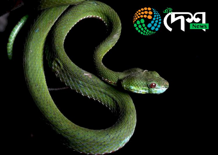 কাজিৰঙা ৰাষ্ট্ৰীয় উদ্যানত থকা মাছ, ভেকুলী আৰু সৰীসৃপৰ ওপৰত কৰা সমীক্ষাৰ  প্ৰতিবেদন প্ৰকাশ :